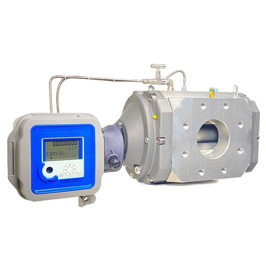 4" Rotary Gas Meter | 14M-PTZ | 14,000 MBH